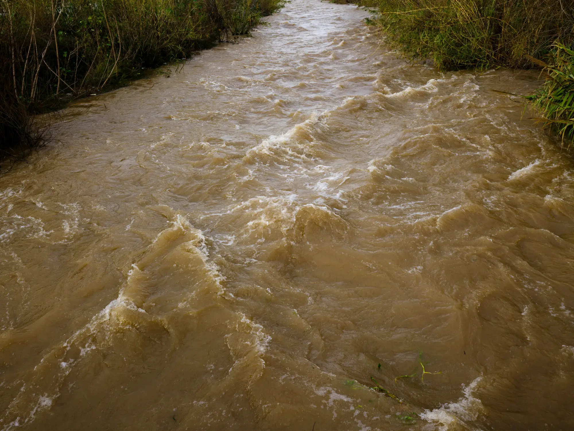 A small river running brown and fast between grassy banks after heavy rain
